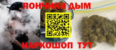 СК Пугачёв