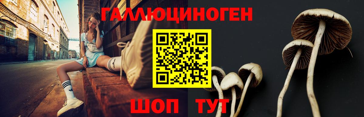 Псилоцибиновые грибы Magic Shrooms  Галлюциногенные грибы мухоморы  Вход с VPN  Прокопьевск 